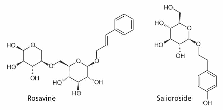 Structures moléculaires des actifs emblématiques de la Rhodiola rosea (rosavine et salidroside).